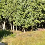 Ferienapartments Erzpanorama Johanngeorgenstadt