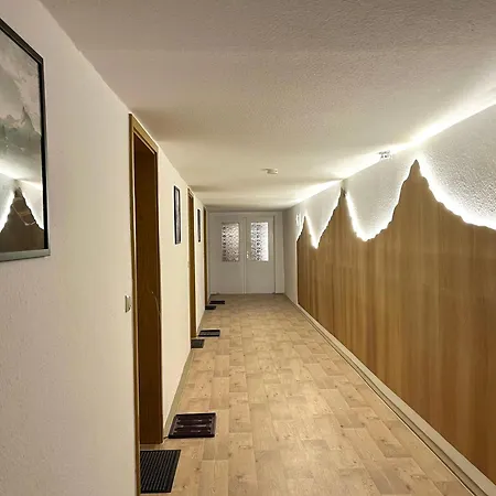 Ferienapartments Erzpanorama يوهانغيورغنشتات