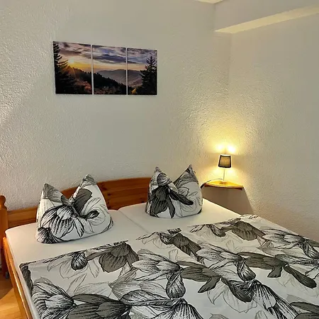 Ferienapartments Erzpanorama شقة يوهانغيورغنشتات