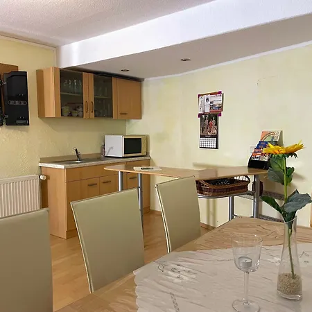Ferienapartments Erzpanorama شقة يوهانغيورغنشتات