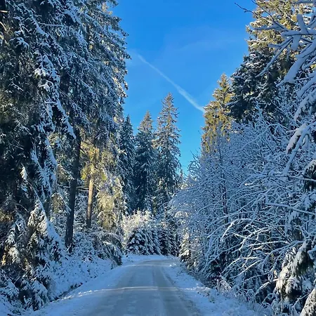 Ferienapartments Erzpanorama * Johanngeorgenstadt