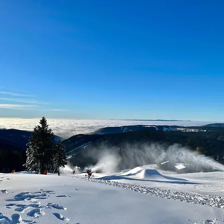 Apartamento Ferienapartments Erzpanorama *