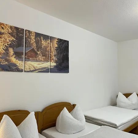 Lejlighed Ferienapartments Erzpanorama Johanngeorgenstadt