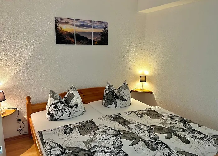 Ferienapartments Erzpanorama شقة يوهانغيورغنشتات