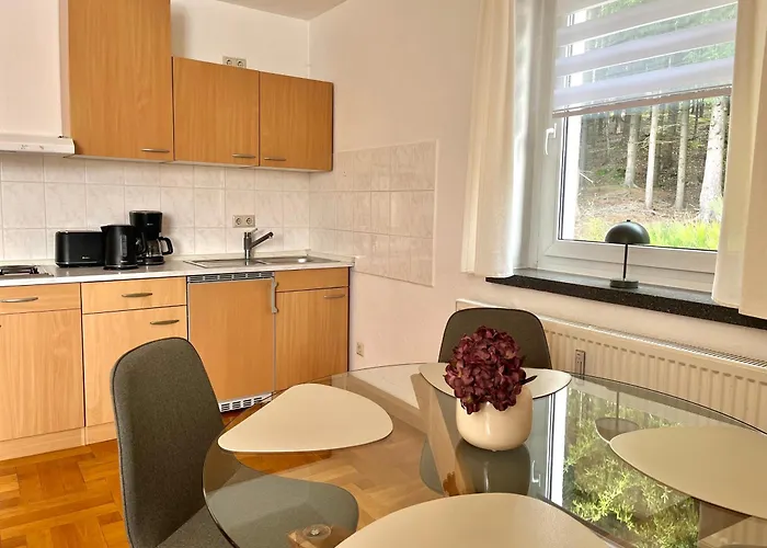 Ferienapartments Erzpanorama شقة