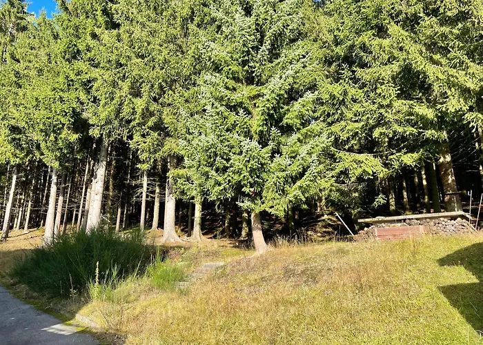 Ferienapartments Erzpanorama يوهانغيورغنشتات