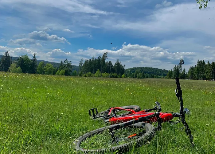 Ferienapartments Erzpanorama