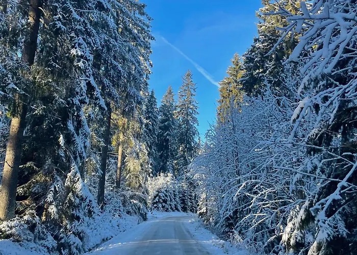 Ferienapartments Erzpanorama * يوهانغيورغنشتات