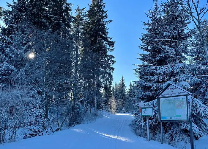 Ferienapartments Erzpanorama يوهانغيورغنشتات