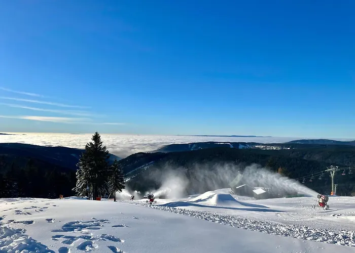 شقة Ferienapartments Erzpanorama *