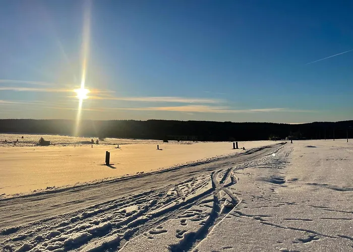 Ferienapartments Erzpanorama شقة يوهانغيورغنشتات