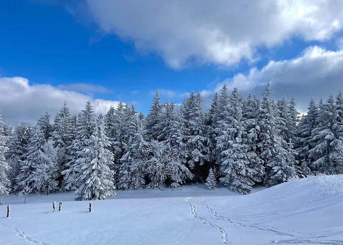 شقة Ferienapartments Erzpanorama *