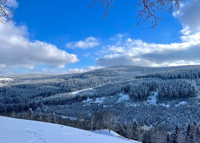 Ferienapartments Erzpanorama * يوهانغيورغنشتات